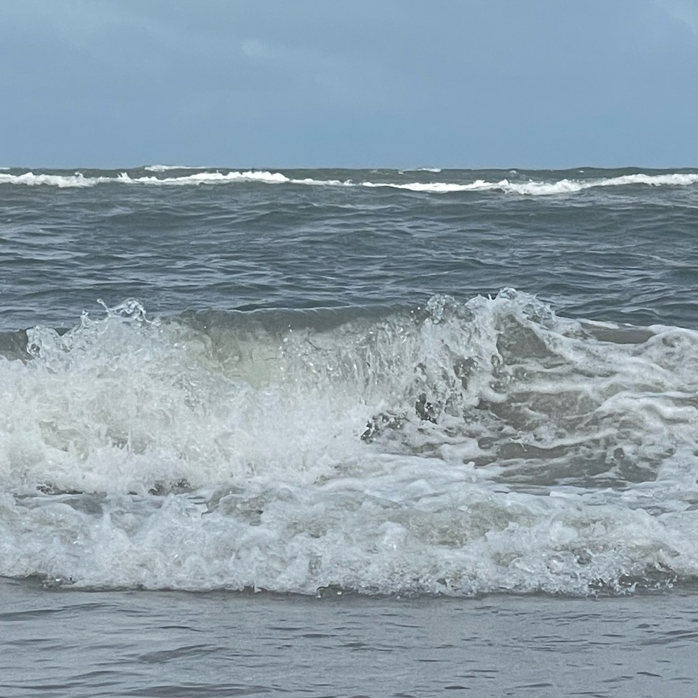 Meet your Posher, Cassidy